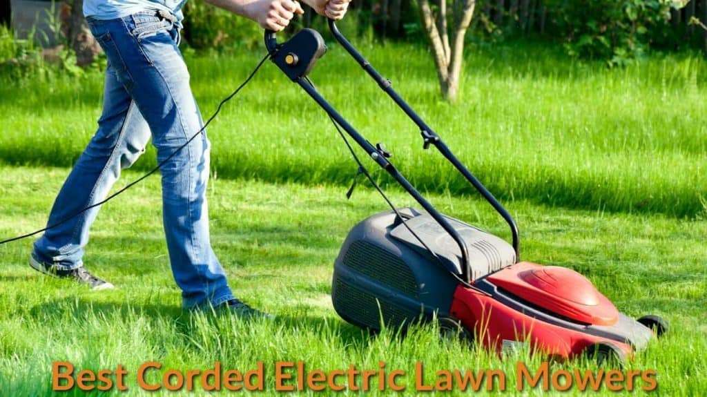 Brushcutters https://lawncaregarden.com/best-lawn-mower-for-3-acres/