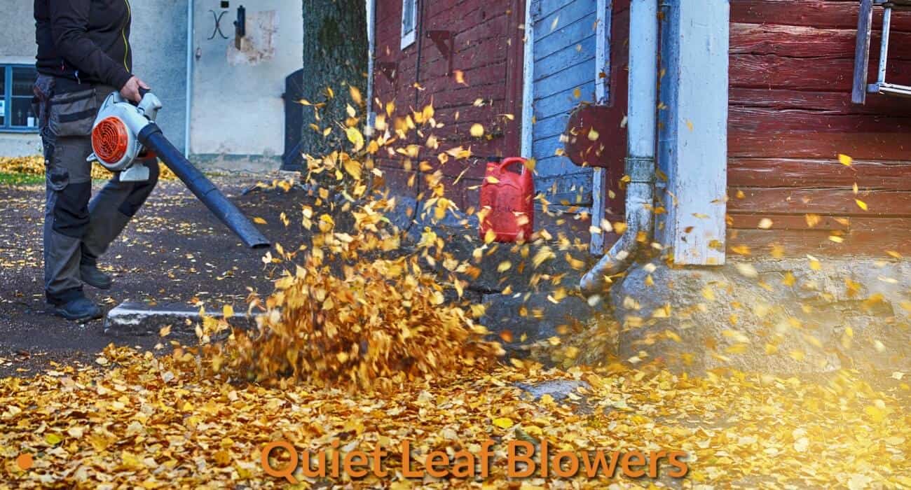 quiet leaf blower